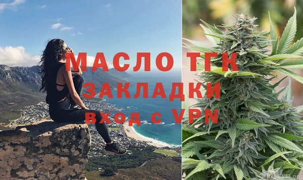 твердый Протвино