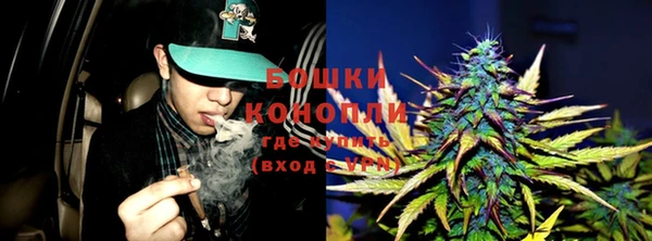 молекула духа Баксан
