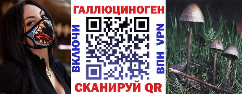 Псилоцибиновые грибы GOLDEN TEACHER  где можно купить наркотик  Салаир 